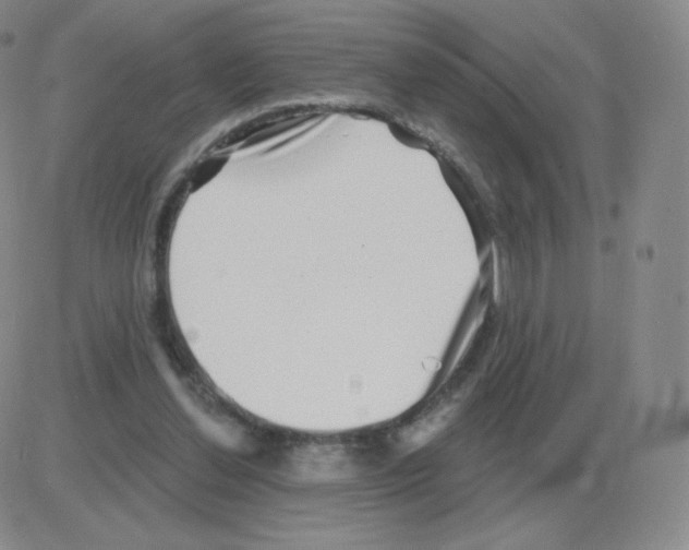 X0000082680252200702232145