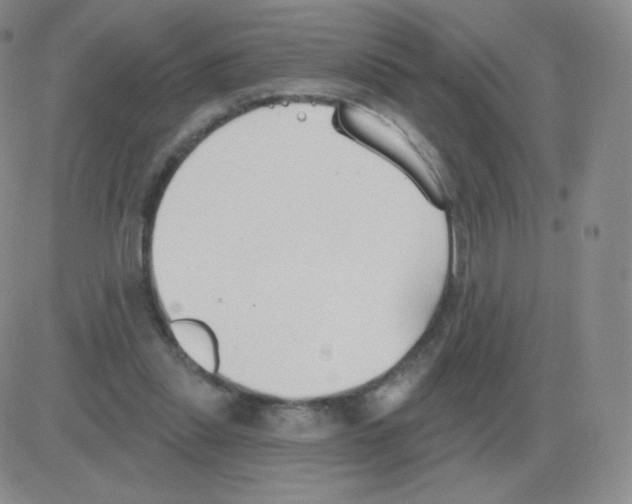 X0000082680253200702232145