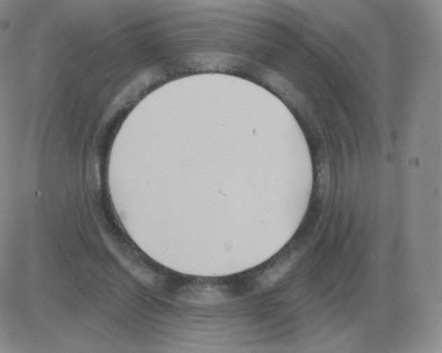 X0000082680254200702232145