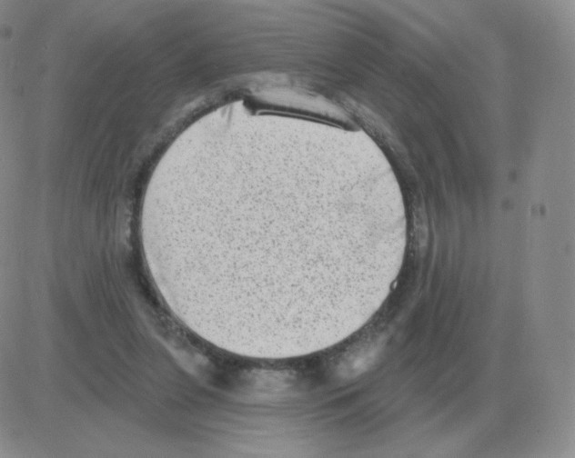 X0000082680255200702232145