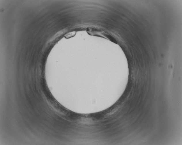 X0000082680256200702232145