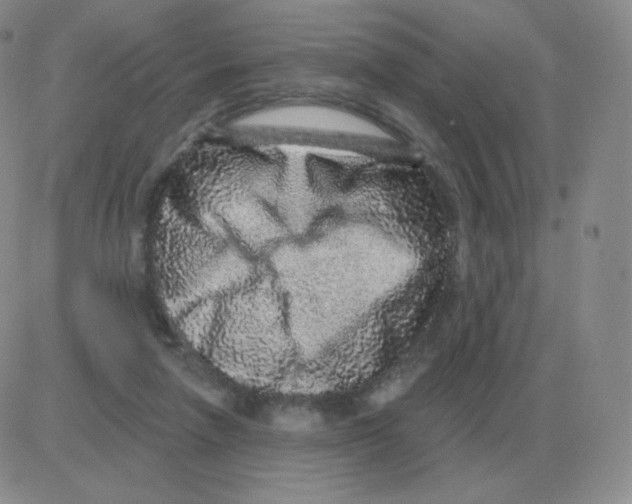 X0000082680258200702232145