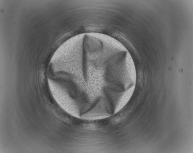 X0000082680259200702232145