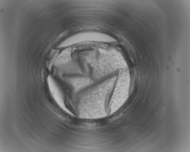 X0000082680260200702232145