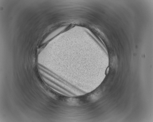 X0000082680261200702232145