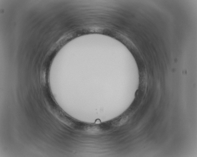 X0000082680262200702232145