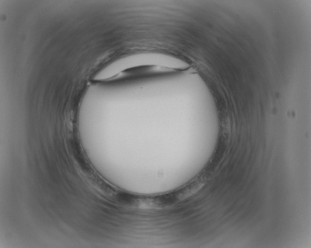 X0000082680264200702232145