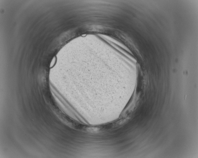 X0000082680265200702232145