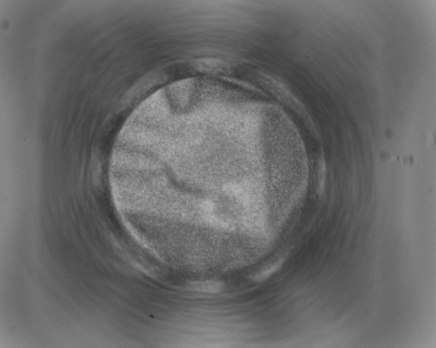 X0000082680266200702232145