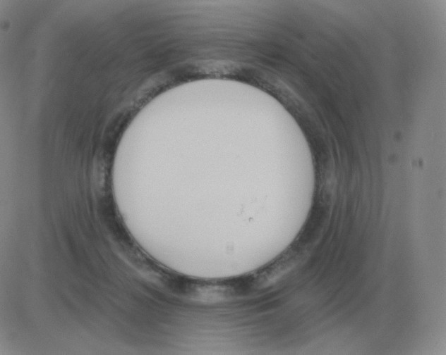 X0000082680268200702232145