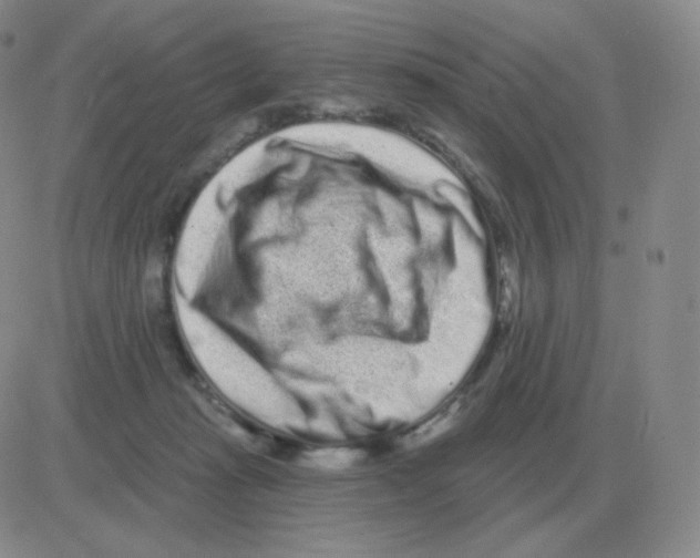 X0000082680269200702232145