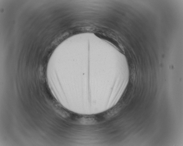 X0000082680270200702232145