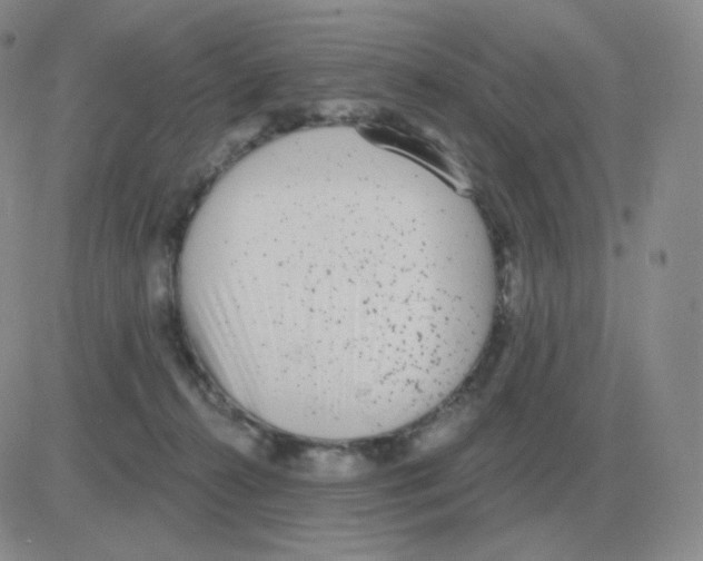 X0000082680272200702232146