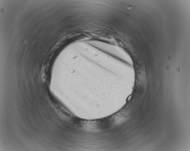 X0000082680273200702232146