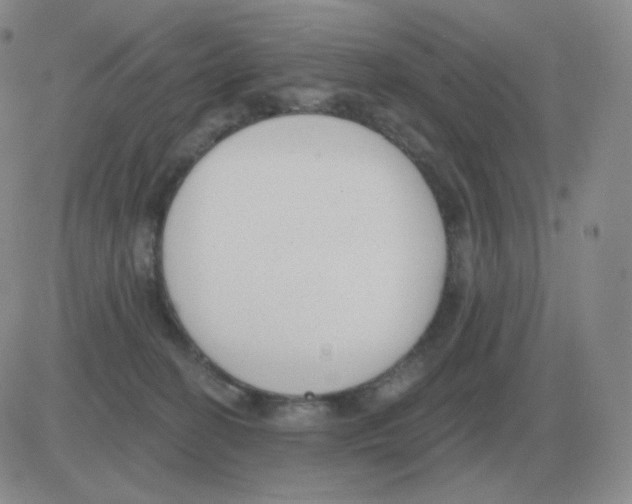 X0000082680274200702232146