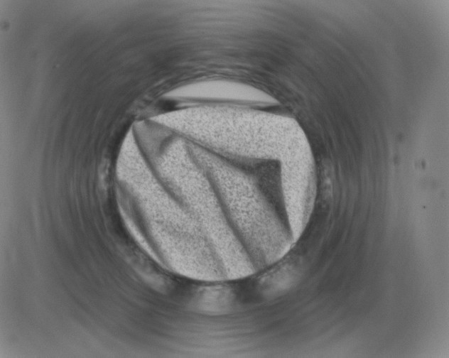 X0000082680275200702232146