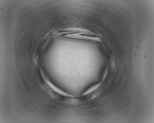 X0000082680276200702232146