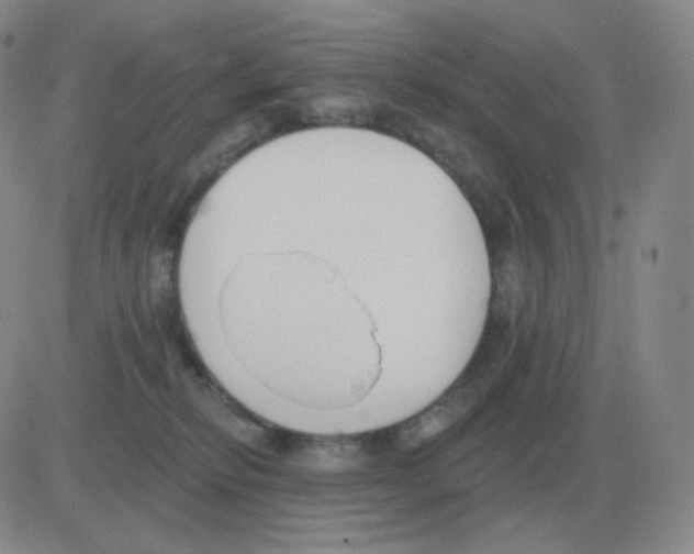 X0000082680278200702232146