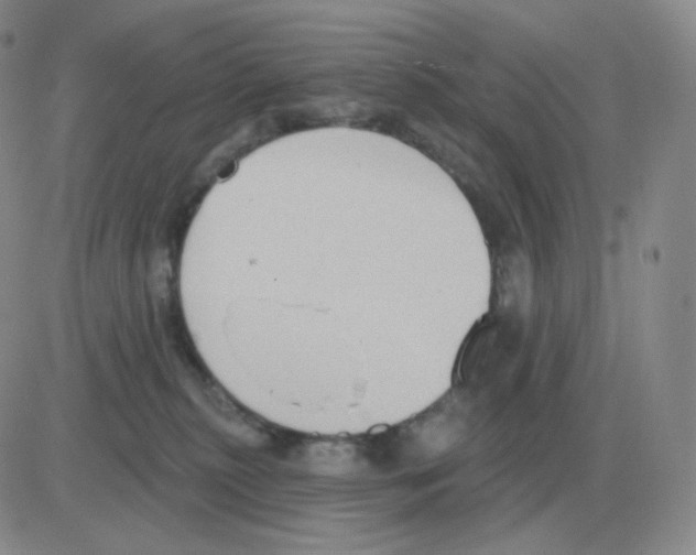 X0000082680279200702232146