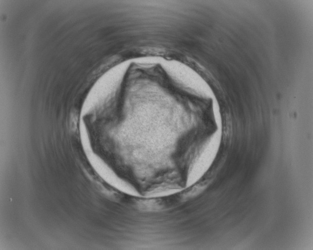 X0000082680281200702232146