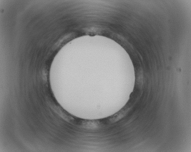 X0000082680282200702232146