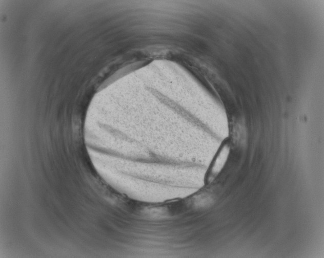 X0000082680283200702232146