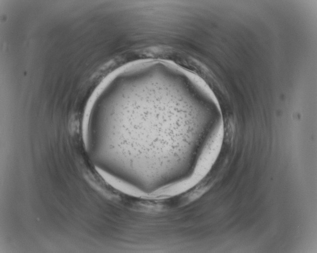 X0000082680284200702232146