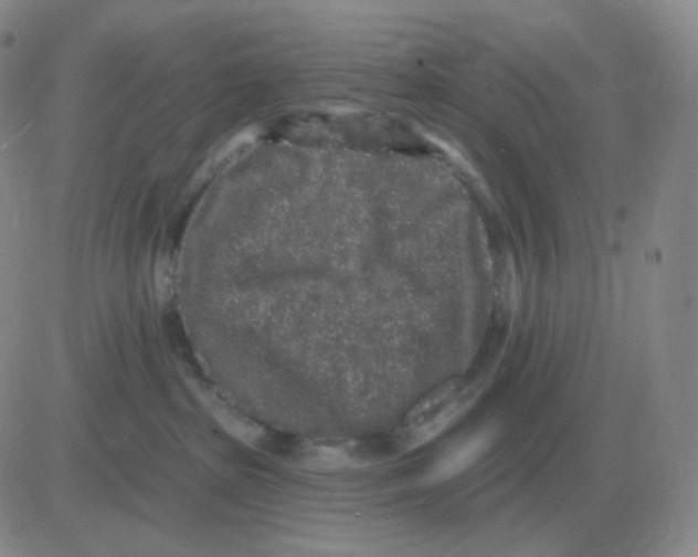 X0000082680285200702232146