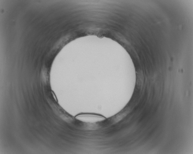 X0000082680287200702232146