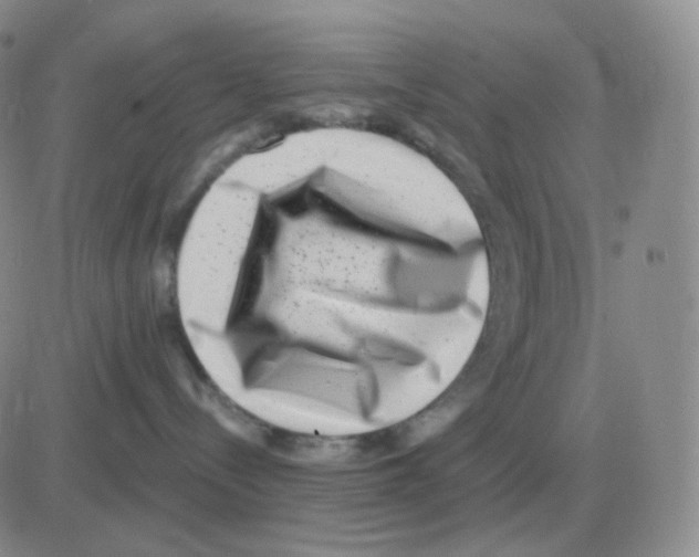 X0000082680288200702232146