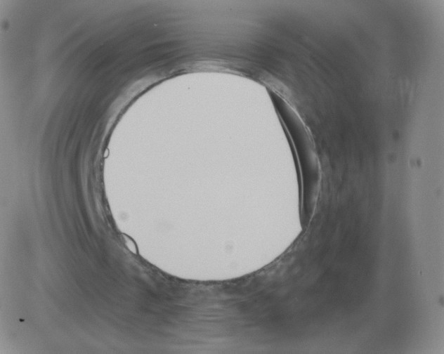 X0000082680289200702232145