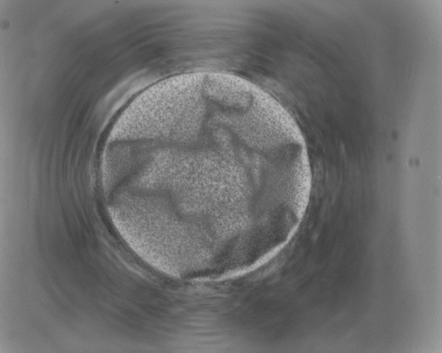 X0000082680290200702232145