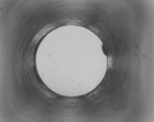 X0000082680291200702232145