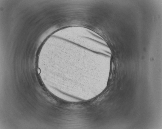 X0000082680292200702232145