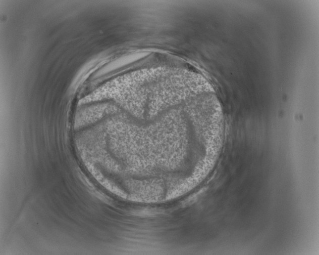 X0000082680293200702232145