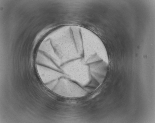 X0000082680294200702232145