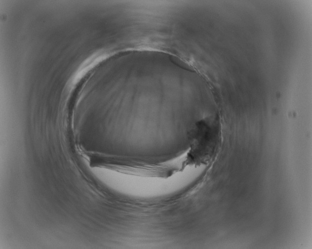 X0000082680295200702232145