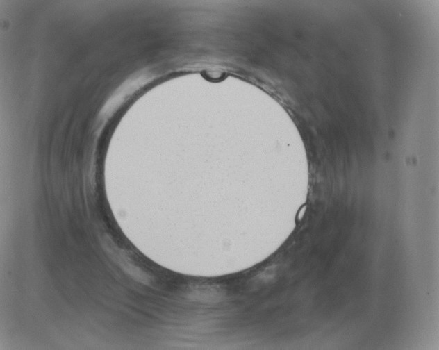 X0000082680296200702232145