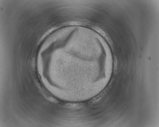 X0000082680297200702232145