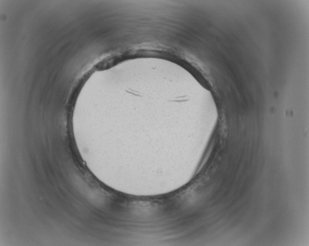 X0000082680298200702232145