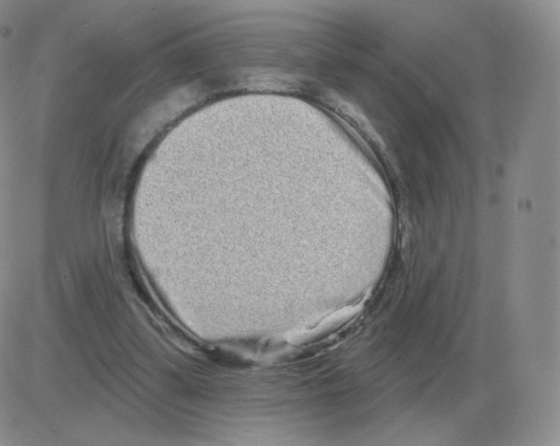 X0000082680299200702232145