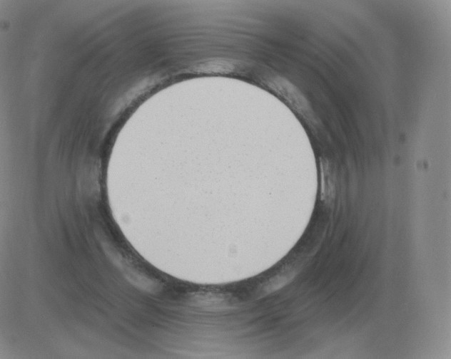 X0000082680300200702232145