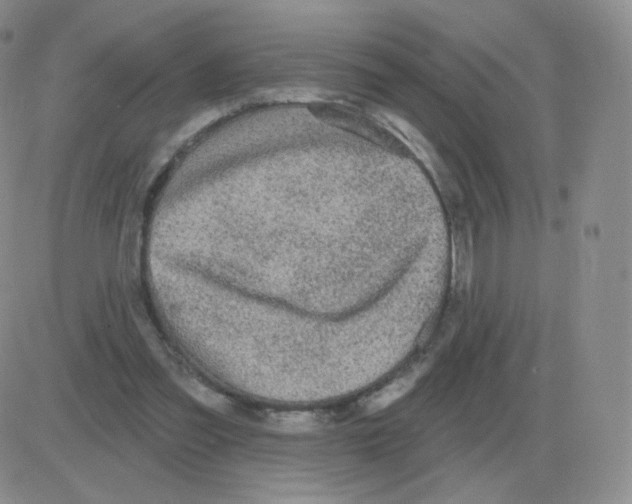 X0000082680301200702232145