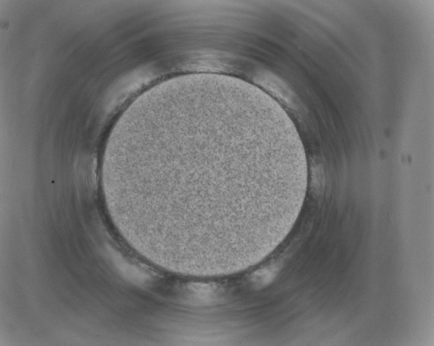 X0000082680302200702232145