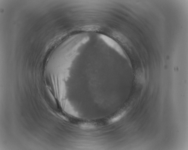 X0000082680303200702232145