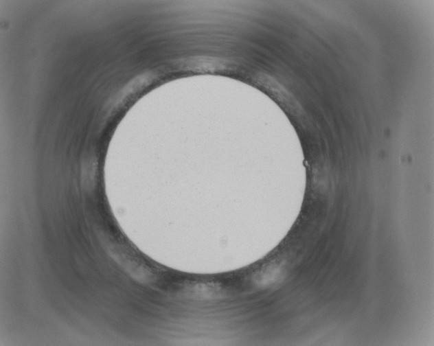 X0000082680304200702232145