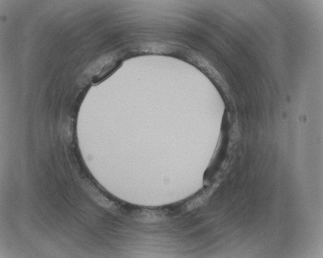 X0000082680305200702232145