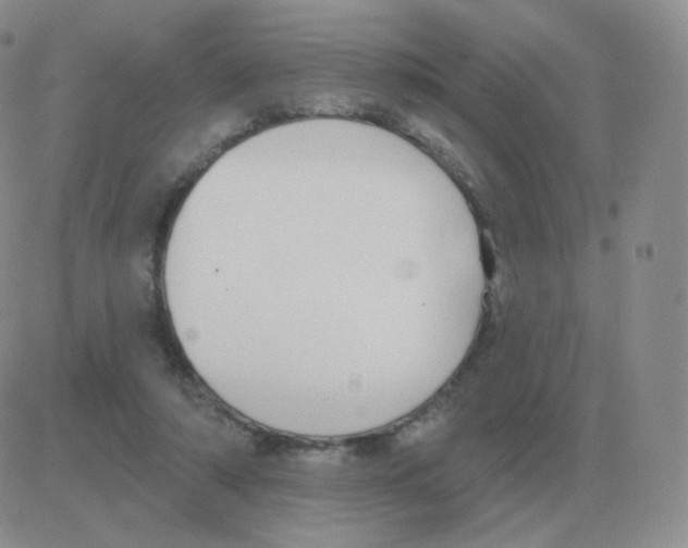 X0000082680306200702232145