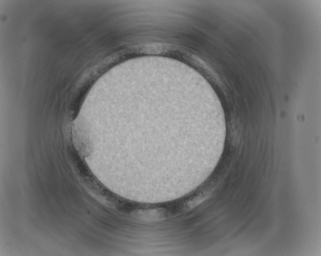 X0000082680307200702232145