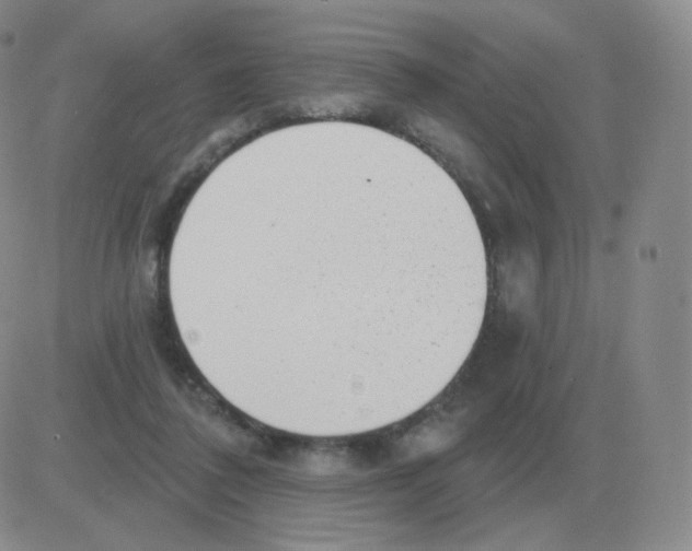 X0000082680308200702232145